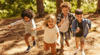 Announcing the 2020 CChIPS Annual Report